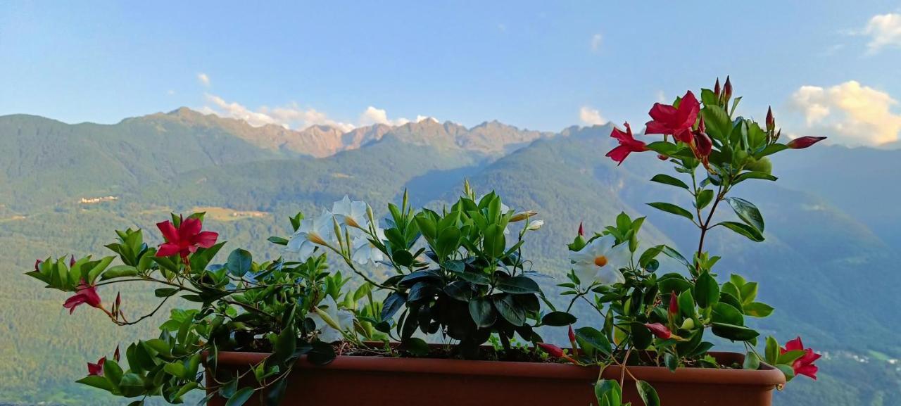 Palazzo Juvalta Bed & Breakfast Teglio Eksteriør bilde