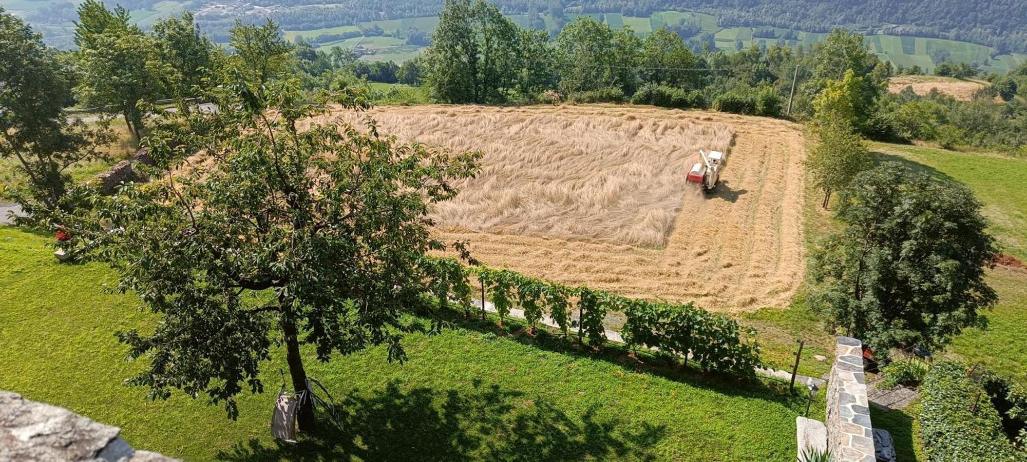 Palazzo Juvalta Bed & Breakfast Teglio Eksteriør bilde